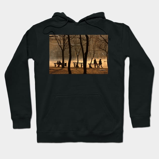 Day ending in Varosliget park Hoodie by Cretense72